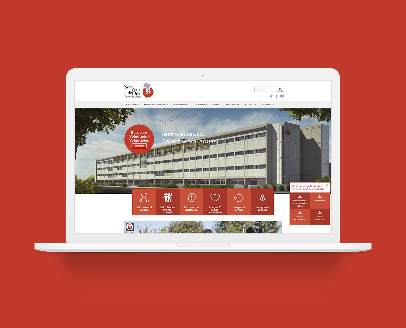 mockup-web-sjd